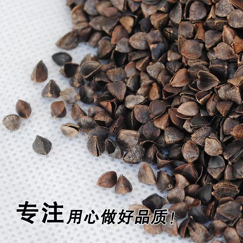 【甜荞麦壳】厂家批发80生甜荞麦壳国产荞麦皮过筛除尘干净无杂