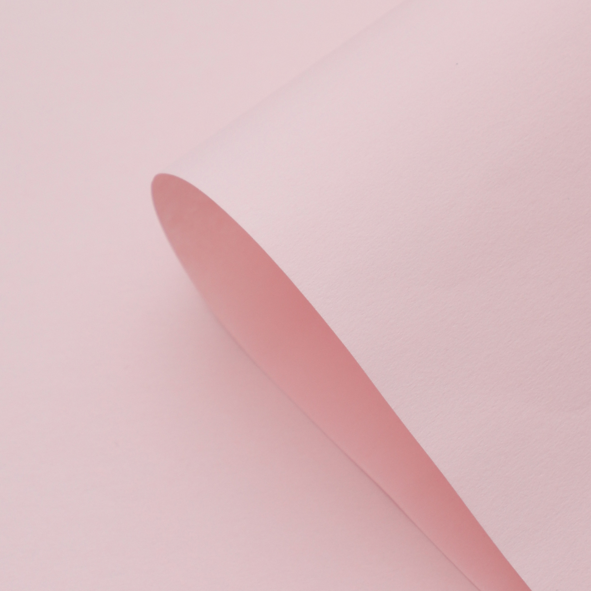 Embalaje de papel Fenghua floral material de envoltura de flores impermeable papel de envoltura de flores de color sólido papel de envoltura de alta calidad al por mayor