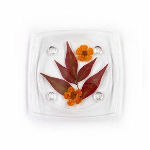 �����ֹ��h����֬���z�ɻ����|�߼�ˇ�g肻�����|