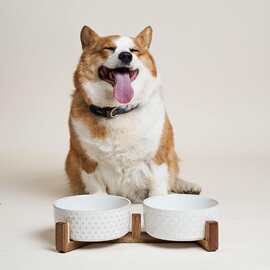 狗碗陶瓷双碗一体木架保护颈椎猫碗防打翻大型犬碗饮水碗跨境