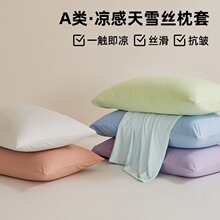 2026�¿��ļ���ɫ������ѩ�z����һ���b�\�]88%���]12%���z���^��