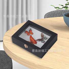 血漪蛱蝶真蝴蝶标本装饰挂画昆虫凤蝶摆件实木相框送闺蜜纪念