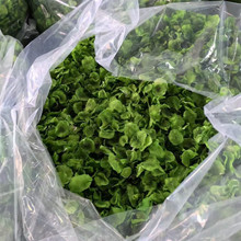 500g���]�n�S���r�������n�ĸ�Ƭ��؛���aÓˮ�߲˸ɷ�ؕ��̦��