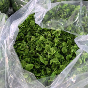 500g���]�n�S���r�������n�ĸ�Ƭ��؛���aÓˮ�߲˸ɷ�ؕ��̦��