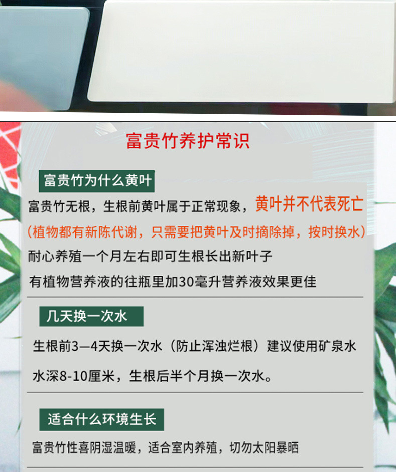 cfcd9e60-55ac-4b30-9f55-f42e66881cfb.jpe