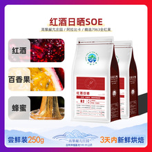 红酒风味咖啡豆日晒厌氧处理 中浅度鲜烘焙SOE发酵果香浓郁可磨粉
