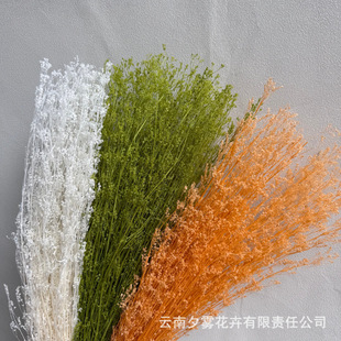 ���ǻ��������滨���r���廨�������λ�ƿ�o����޹diyֲ�����