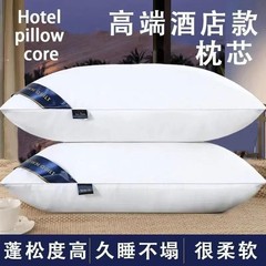 メーカー卸売ホテル同じスタイルのフェザーベルベット頸椎非崩壊シングル枕枕コア純白起毛ギフト枕