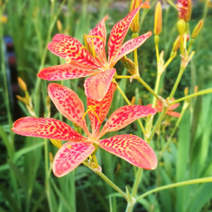 ����Sβ�����ļ��׷N�ͺ��ͺ�ͥԺ�G�����̾G�������Ե����޸���