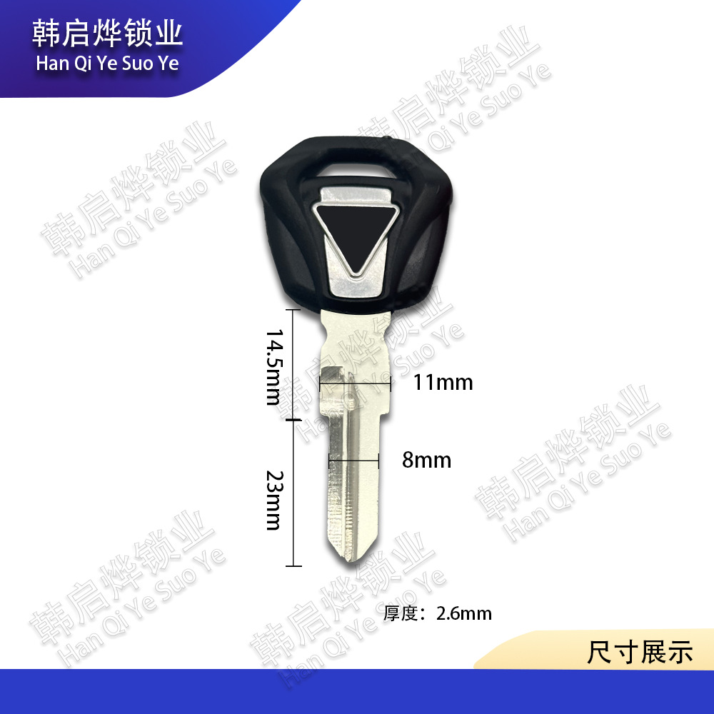 Suitable for Triumph Trident 660 Tiger 900 800 765S 765R 765Rs 675 Key Blanks