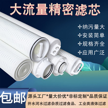 派克颇尔款大通量折叠滤芯寸精密保安过滤器派克大流量水处理