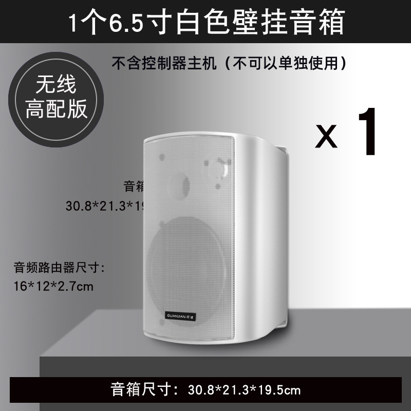 壁挂无线音响店铺舞蹈教室餐厅健身房会议室商用音箱组合套装|undefined
