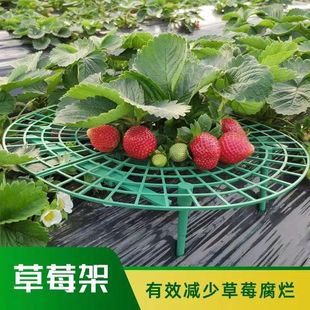 �羳��ݮ�бP֧�ܷNֲ����ˮ���Gֲƴ�ӷ��������~�����@ˇ֧�μ�