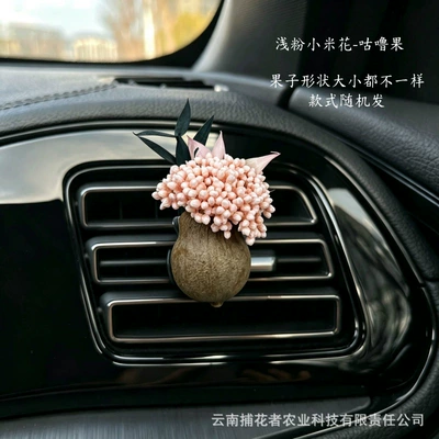 Gift Car Interior Fragrance — Car Perfume Aromatherapy - light-pink-millet-flower-gulu-fruit-car-style-free-essential-oil