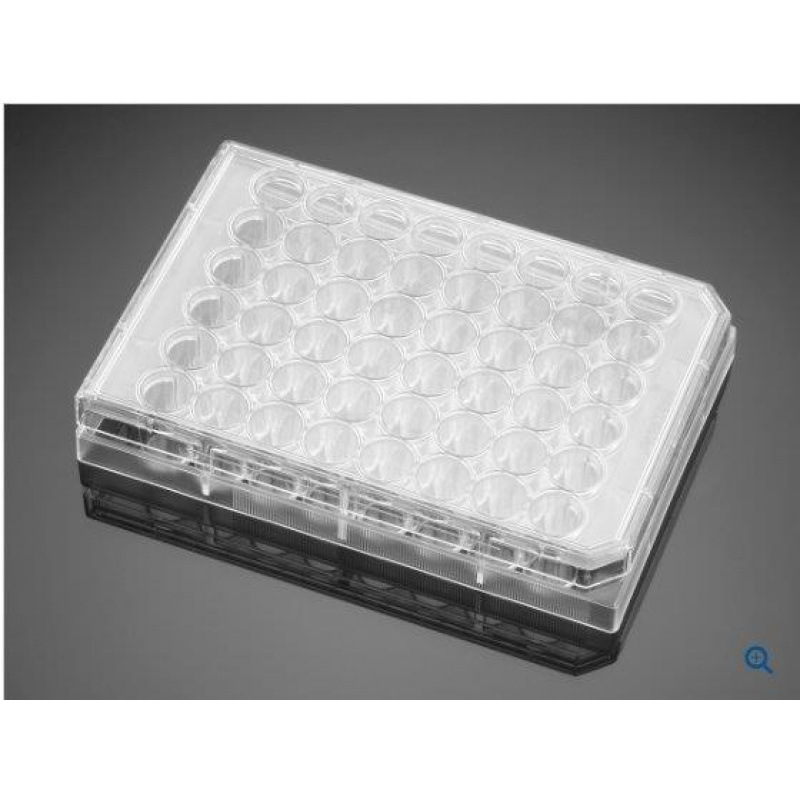 6孔透明平底、未经组织培养处理的带盖多孔板，无菌，独立包装，5