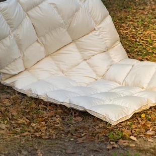 Rice Pulp White Light Tone Down Quilt Lightweight Encryption White Goose Down Quilt Spring and Autumn Quilt Winter Quilt Warm and Fluffy