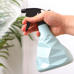 手壓小噴壺消毒噴壺澆花家用園藝植物噴霧瓶器澆水壺灑水壺噴水壺