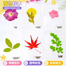 ����~�����ܷ�ɻ��^��ֲ��˱��y�Ӽt���~��ާ��׃��@�J�R�̌W