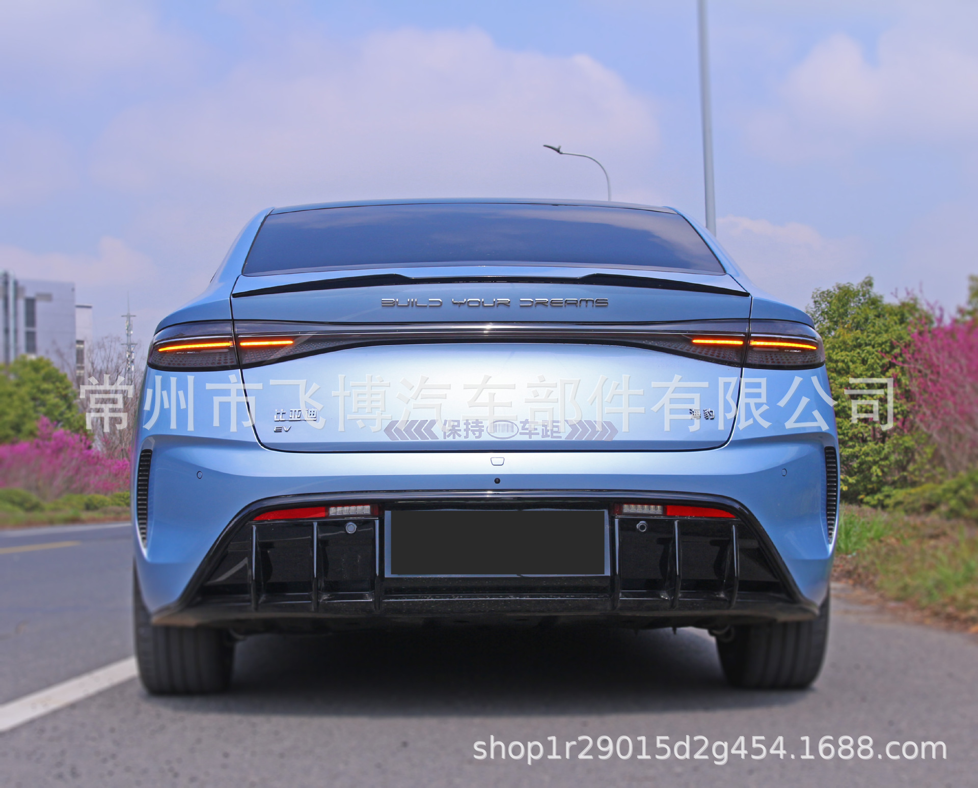 Suitable for 20 Models of Byd Seal Special Rear Wings Original Carbon Fiber Pattern Sports Blade Style Rear Wings