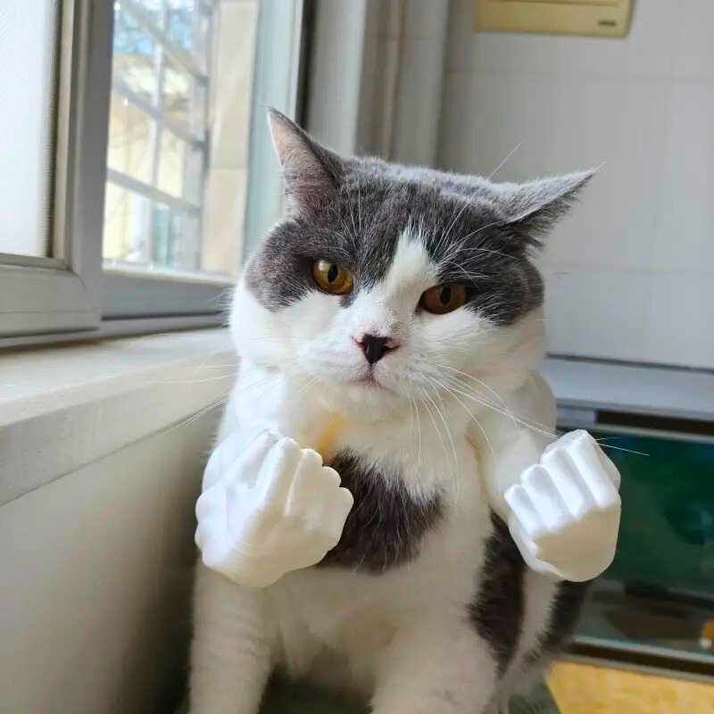 3D プリントおもちゃ猫筋肉アーム 3D ペット猫と犬ハルクペンダントクロスボーダーホット販売猫ハルクペンダント|undefined