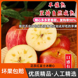 冰糖心苹果新鲜水果当季整箱产地直发礼盒2025应季10斤红富士脆甜