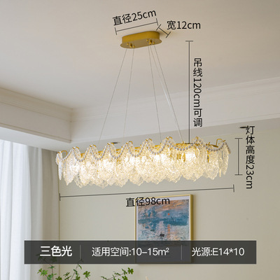 타원형-직경 98cm