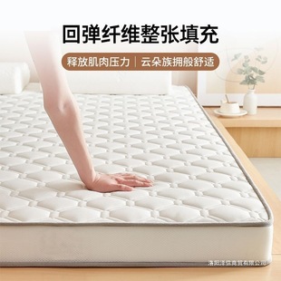 Four-Season Mattress Thickened Soft Cushion Home Student Dormitory Bed Bedding Single and Double Tatami Sponge Mattress