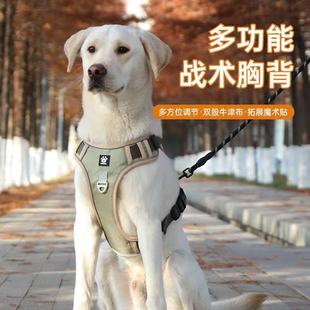 �羳�󹷠����K�����_�������ر������޹��K����ʽ�д���Ȯ������