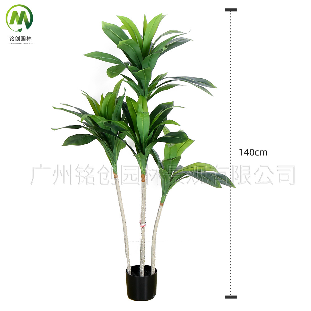 Planta verde de simulación de piso a gran escala, árbol de hierro rojo, madera brasileña, decoración interior, planta de simulación, hierro brasileño de borde amarillo