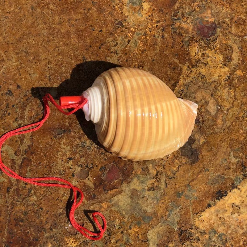 Heiqin snail whistle 10-12 cm