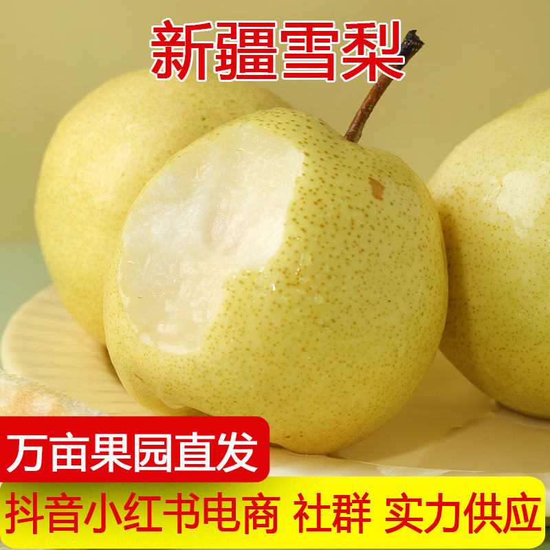 新疆直发顺丰发货新疆天山雪梨应季梨子新鲜水果梨冰糖梨雪花梨