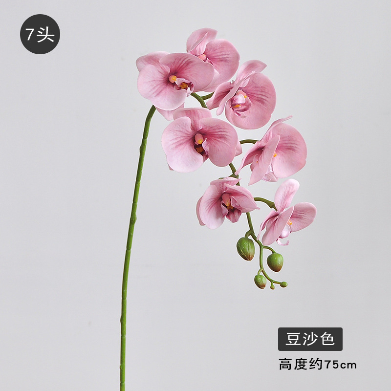 7 헤드 콩 페이스트 색상