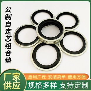 ������\�Զ�о�M�ω|Ȧ�ǘ�Һ��304���P䓽M�ω|6-60mm��̖���l