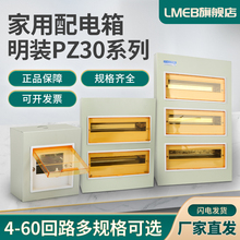 PZ30�����������b���b�՚��_�P���ӑ����·����Դ���������