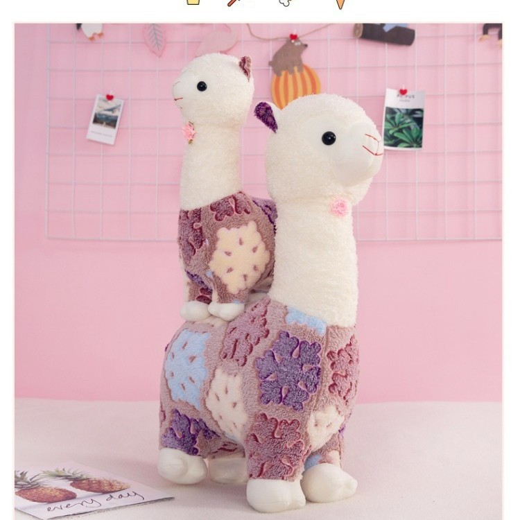 cute alpaca