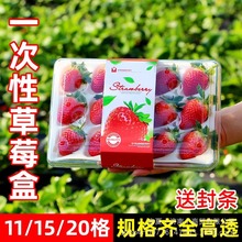 һ���Բ�ݮ����͸����ĭ���в�ݮ���ð��b������15���W�t�жY��