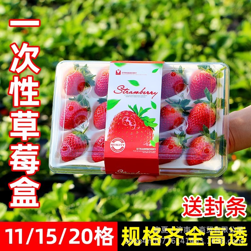 一次性草莓盒子透明泡沫内托草莓专用包装盒塑料15粒网红盒礼盒
