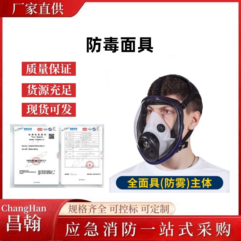 防毒面具全面罩消防喷漆应急脸罩全脸防护放毒氧气呼吸器防尘口罩