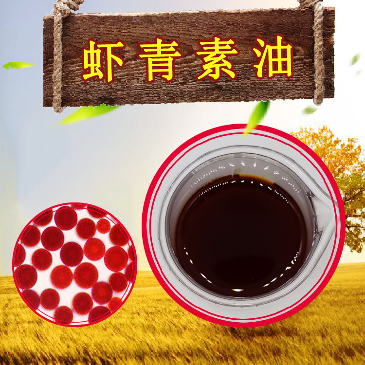 虾青素油1%货源充足雨生红球藻油检测合格雨生红球藻提取物