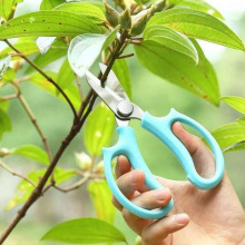 M 27084 Multi-function floral pruning shears �๦�ܻ�����֦