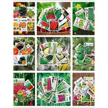 �߲˷N�Ӵ��~����ļ�С���[����������������N���Ӵ�ȫֲ�̨