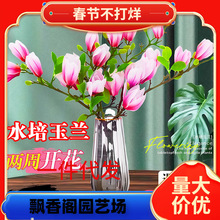 һ�����l���m��ˮ��ˮ�B�Gֲ�r��֦�����m��֦�r���������҃Ȼ���