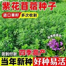 ϻޣݷNιiţuZļ~ݷN~ݷN