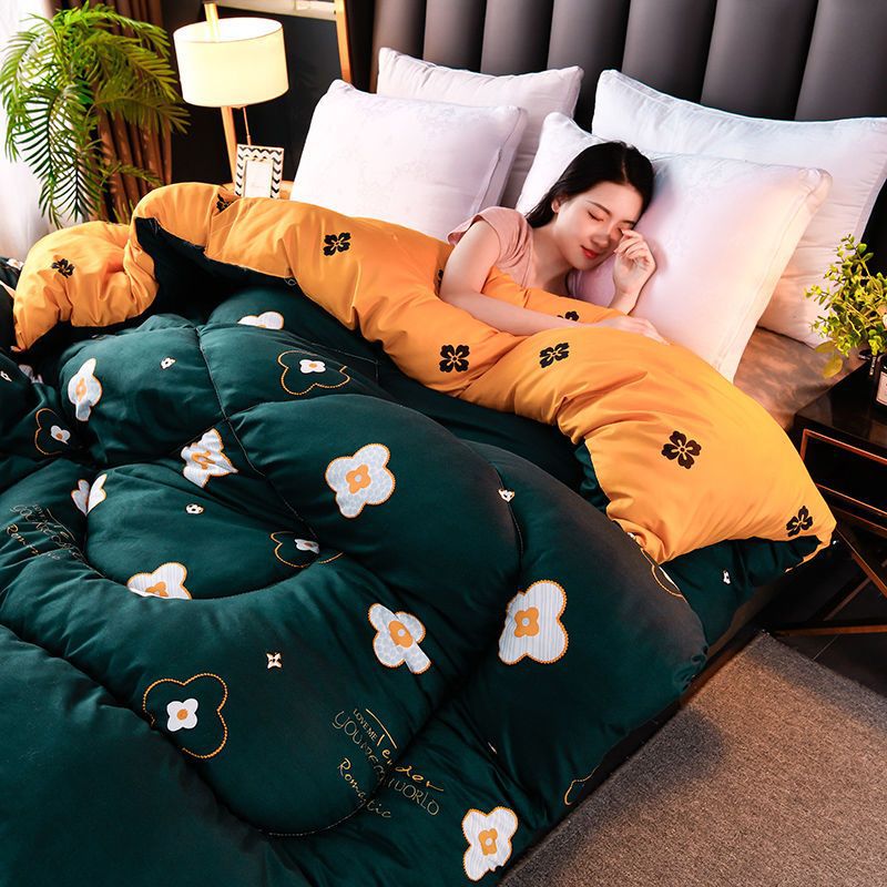 Thickened Winter Quilt, Warm Cotton Quilt for Winter, Student Quilt Core for Dormitory, Single or Double Air-Conditioned Quilt, Spring and Autumn Quilt