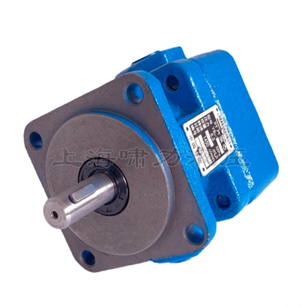 YB1 叶片泵*压力6.3，排量2.5~100  啸力 铸铁YB1-10