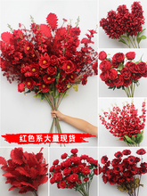 10֦�b�tɫϵ���Ļ����Ż�·����ˇ�bٻ��Ƽtɫ��c�b�