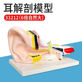 教学演示用品;教学仪器;数理教学器材