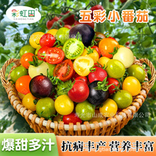 ������ʙ��ҷ��ѷN�Ӵ�ȫ�����ļ�����С���t�����߲���һ�����l