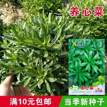 �ٻ��@�B�Ĳ˷N�� �������B�Ĳ� ���Ĳ˷N�� �̨���Ծ�����ɫ��