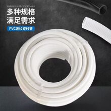 ɫyPEϲyܛƤܴ늾|o׹